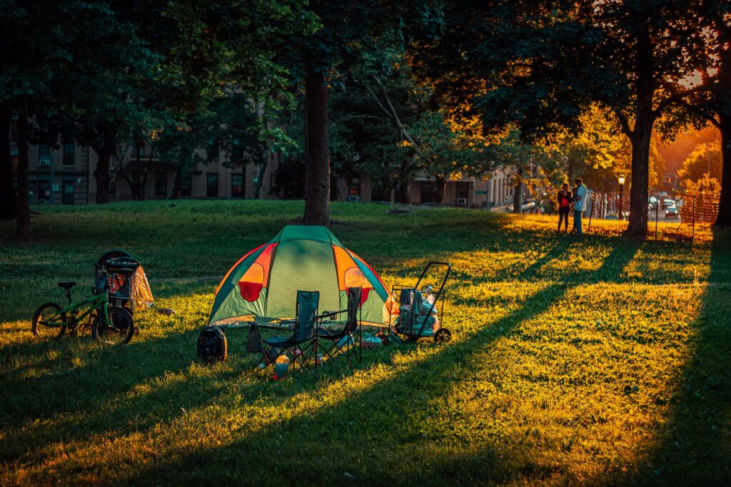 uc davis picnic day